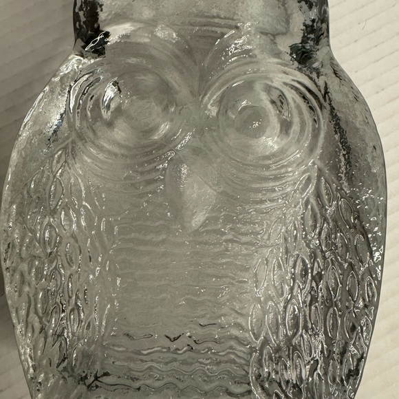 Vintage Blenko Owl Pair Bookends Clear Art Glass Mid Century Modern Excellent! - Picture 9 of 10